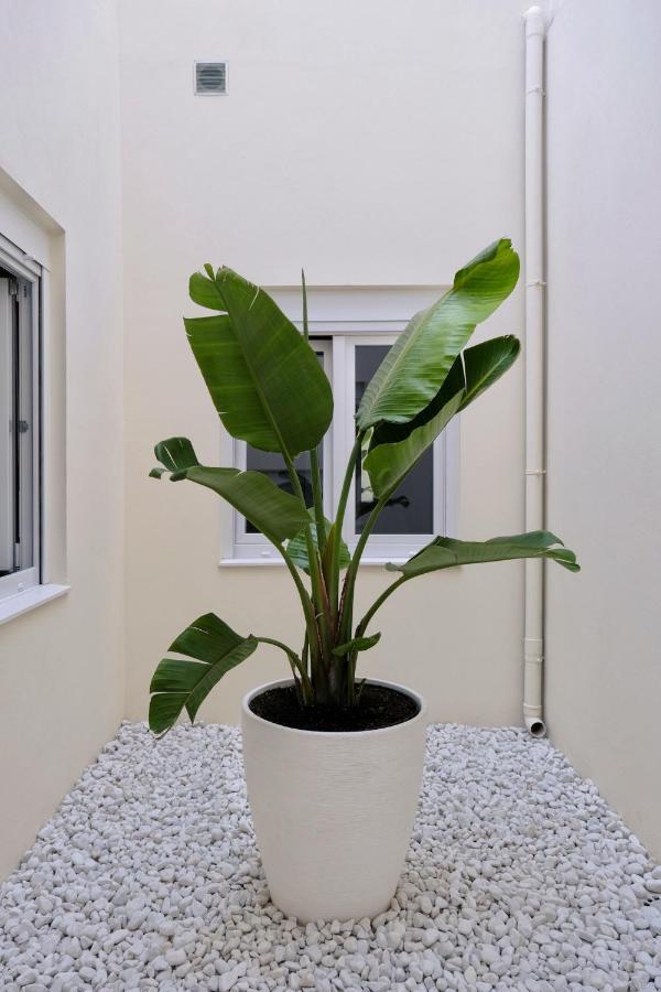 Apartamento Urban Oasis La Palma Santa Cruz de la Palma  Exterior foto